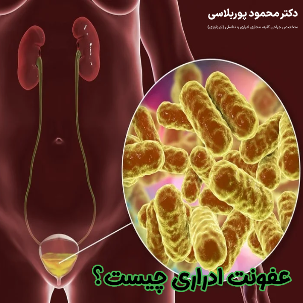 عفونت ادراری چیست