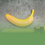ورزش برای افزایش سایز آلت تناسلی