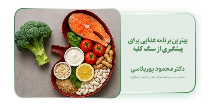 بهترین برنامه غذایی برای پیشگیری از سنگ کلیه